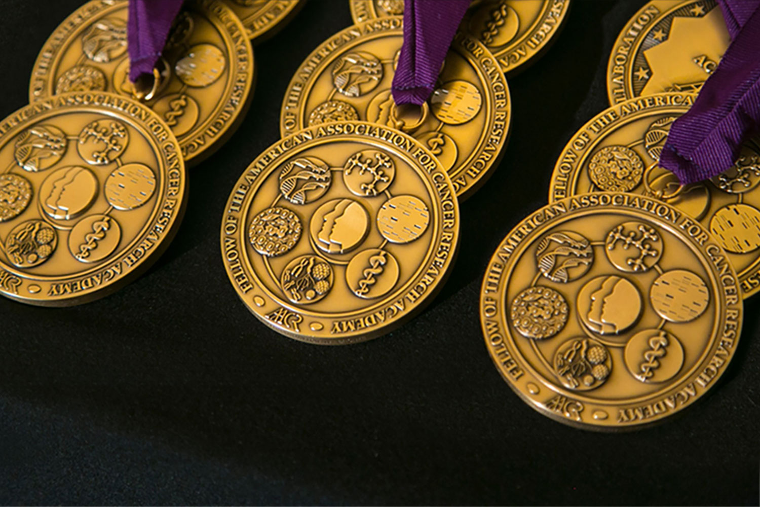 The Fellows of the AACR Academy Medal