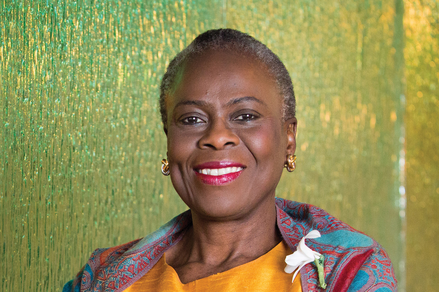 Dr. Olufunmilayo Olopade: Closing Disparities Through Genetic Testing - Leading Discoveries Magazine