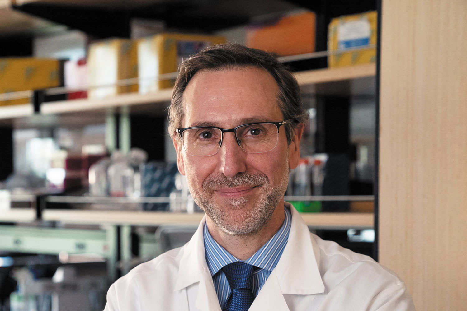 Antoni Ribas, MD, PhD