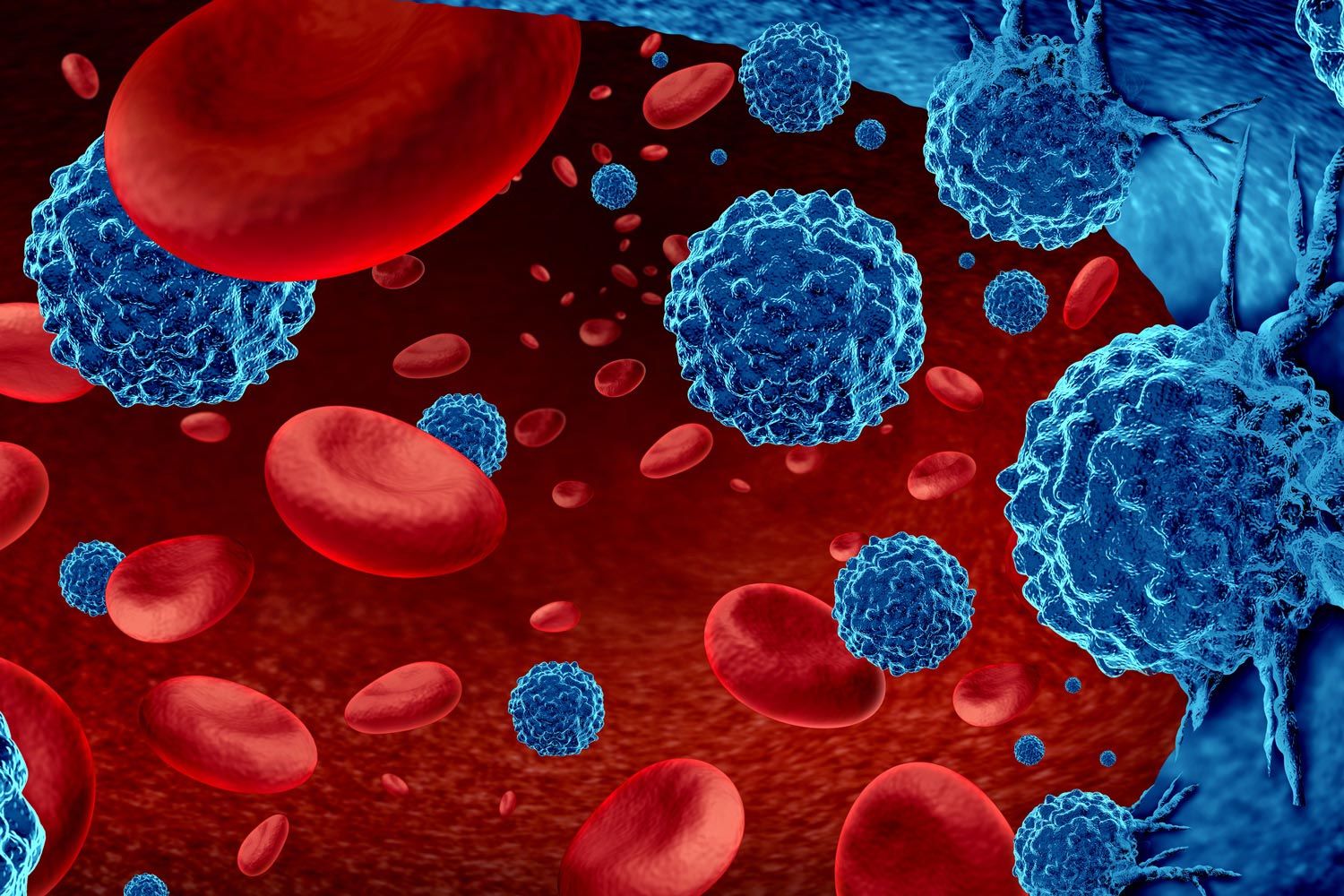 Blood Cells