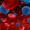 12 Blood Cancer Researchers Join Forces